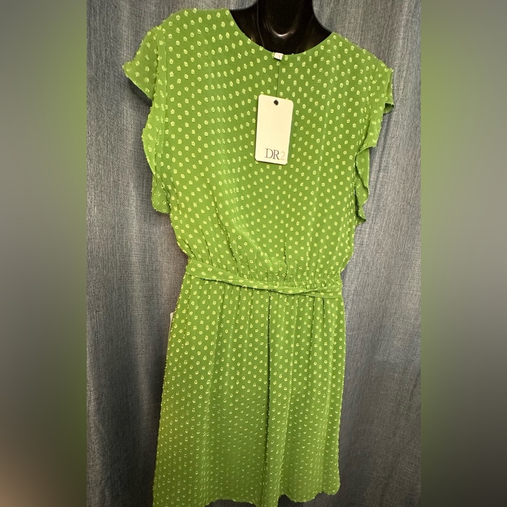 DR2 NWT S Green Swiss Dot A-Line Belted Dress‎ - Picture 3 of 6